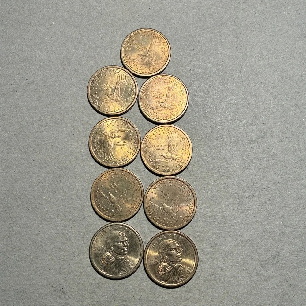 Sacagawea Native American $1 lot - Picture 2 of 4